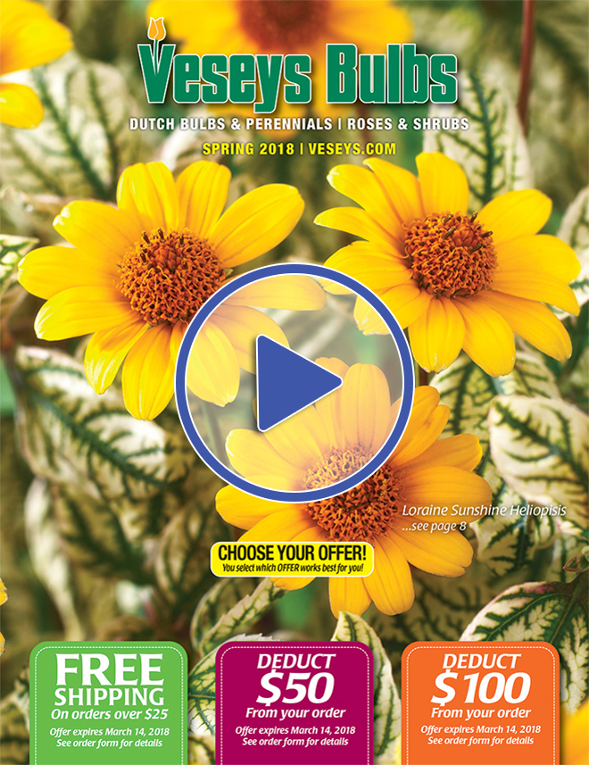 Request a Free Catalogue Veseys